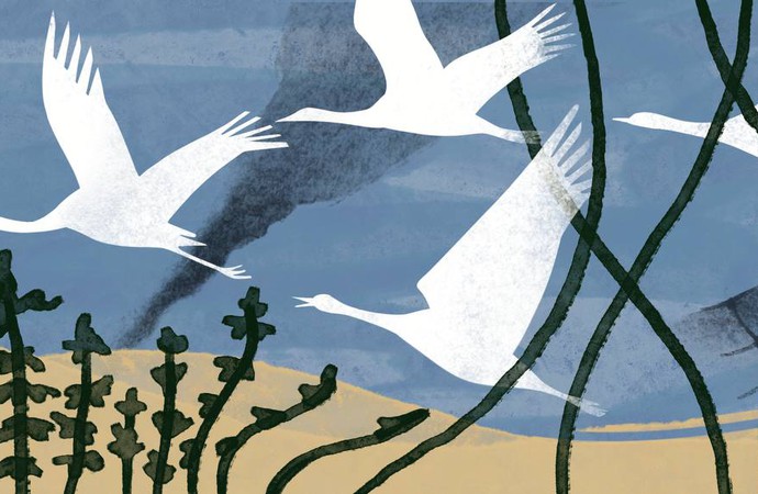 What is there to do? An Eastern European Perspective on Palestinian Ecocide