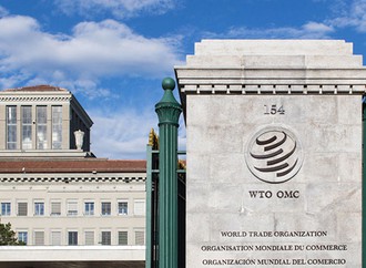 Что такое ВТО? В чьих интересах в ВТО принимаются решения? Чем опасна ВТО? (часть 1)