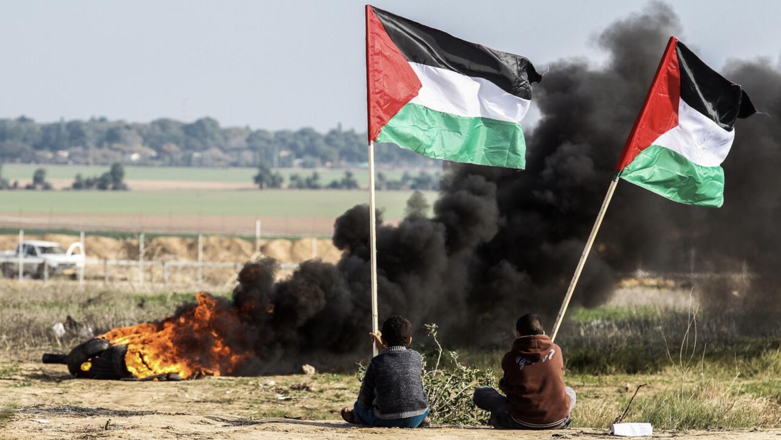 діти з прапорами Палестини