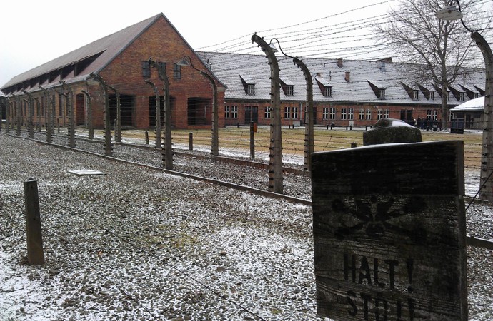 Невільники і смертники у двох таборах: спогади про Освенцим і Біркенау