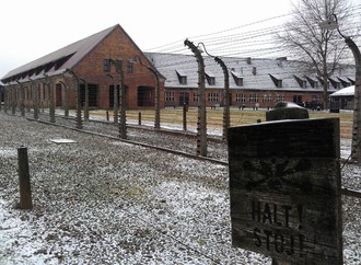 Невільники і смертники у двох таборах: спогади про Освенцим і Біркенау