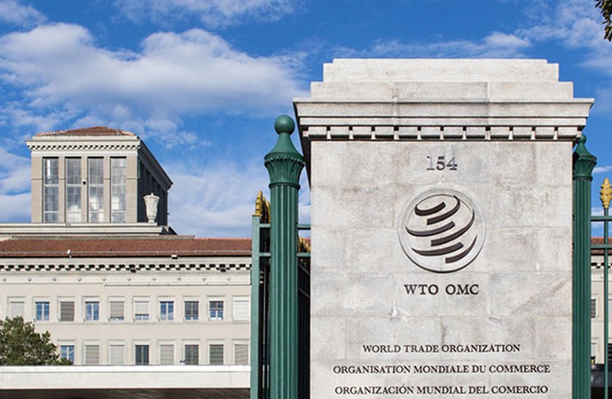 Что такое ВТО? В чьих интересах в ВТО принимаются решения? Чем опасна ВТО? (часть 1)