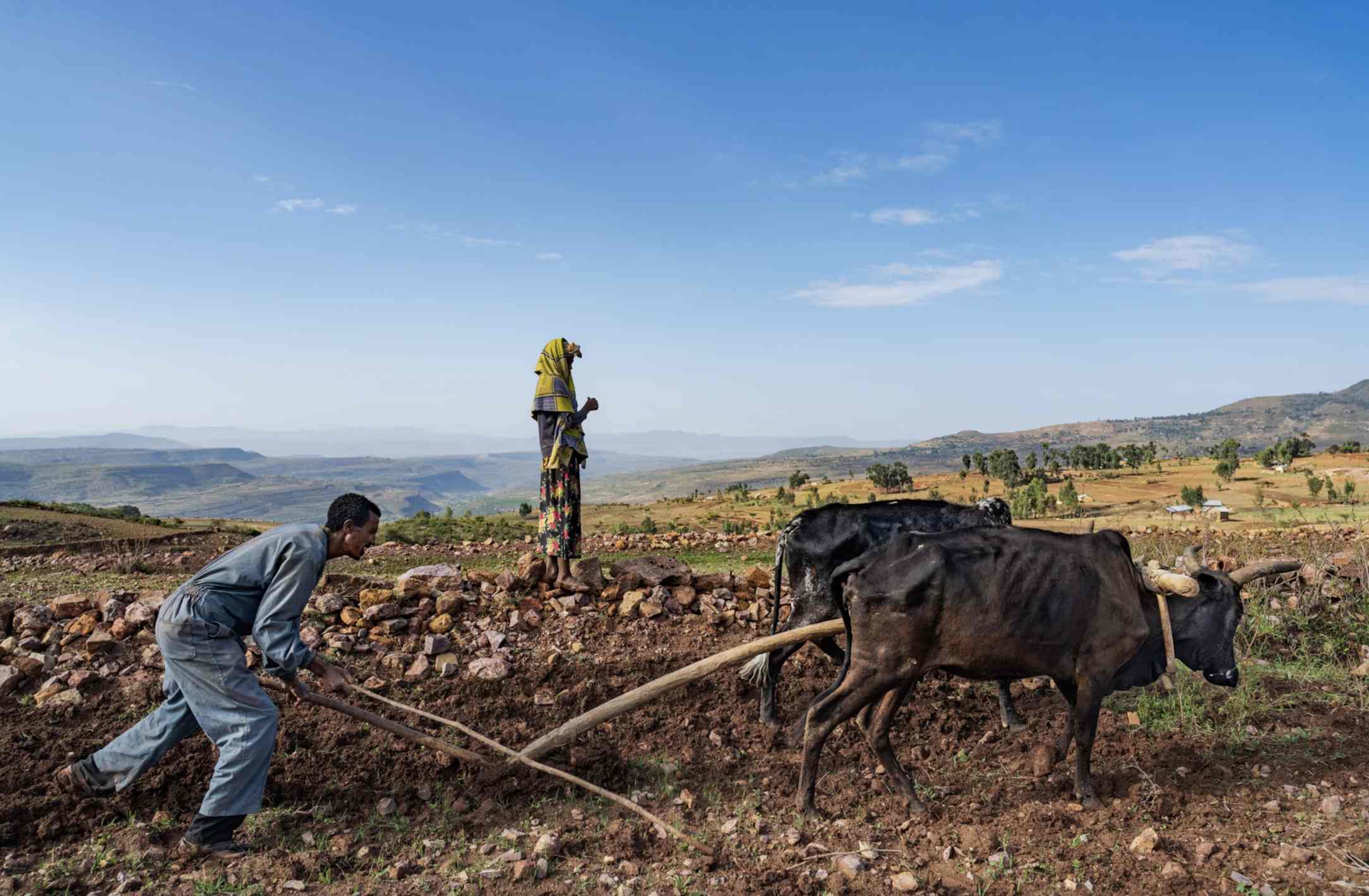 farmers in Tigray